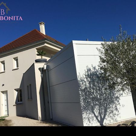 Chez Bonita Hotel Chouzy-sur-Cisse Ngoại thất bức ảnh
