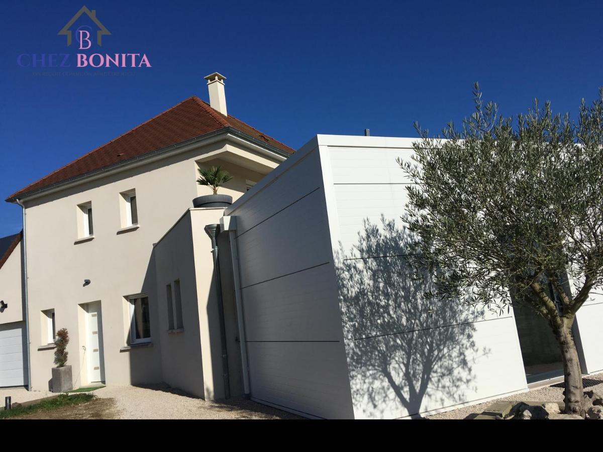 Chez Bonita Hotel Chouzy-sur-Cisse Ngoại thất bức ảnh